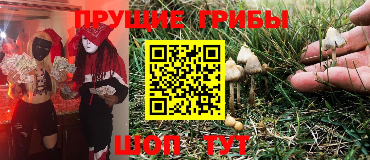 Галлюциногенные грибы Psilocybe Батайск